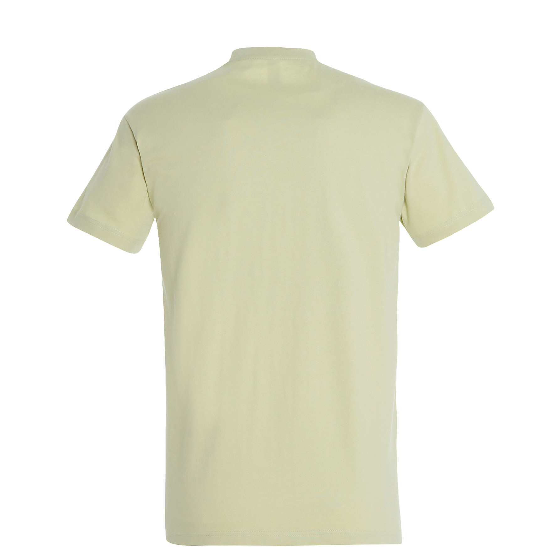 TEE - SOL'S Imperial-11500-273-Tilo - Back
